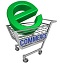 Ecommerce Development Company in Noida